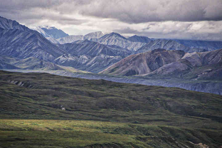EEUU - Alaska 29 - parque nacional de Denali .jpg